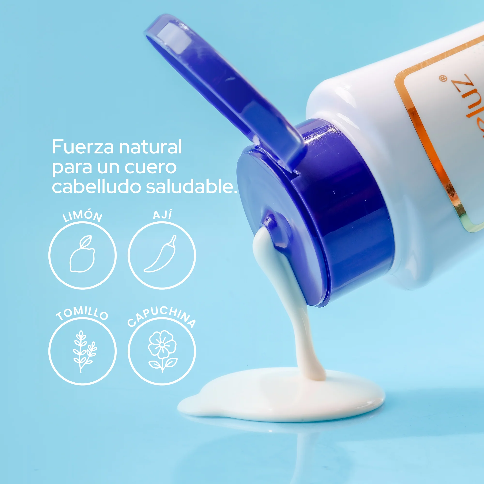 Imagen del producto 6